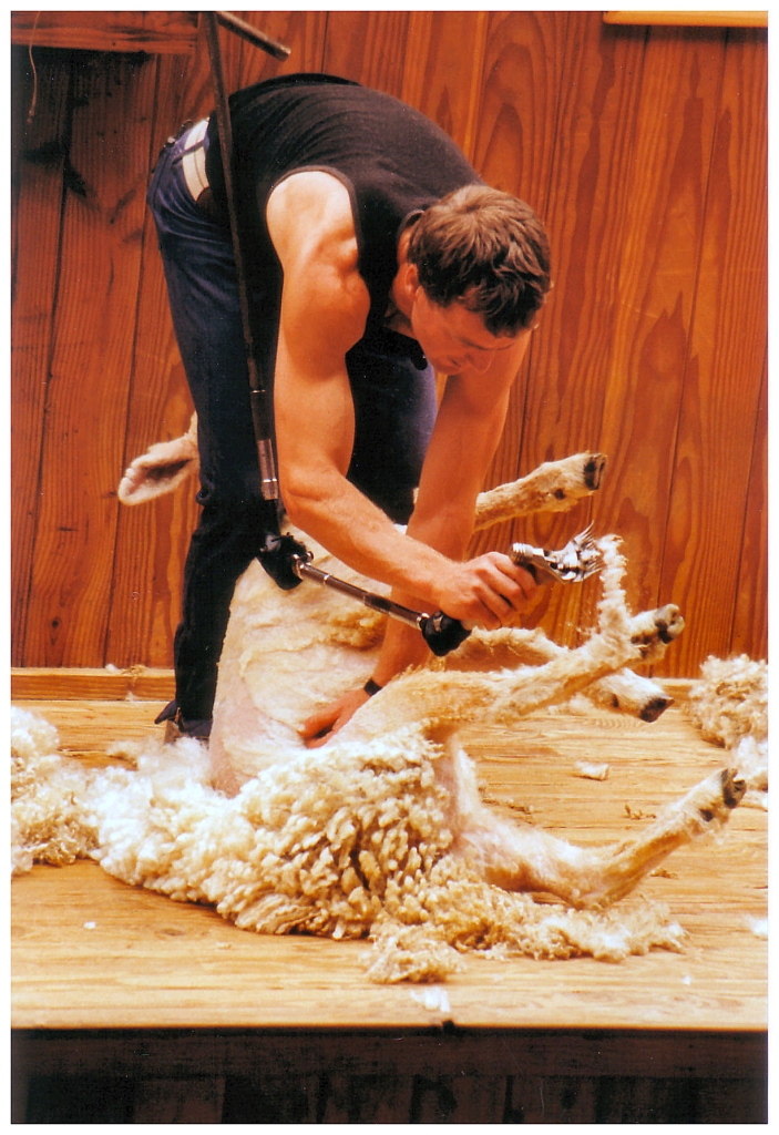 06 - New-Zealand (7).jpg